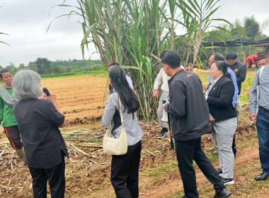 ร่วมสังเกตการณ์ คณะกรมสหกรณ์และพัฒนาชนบทเมียนมาร์ ... พารามิเตอร์รูปภาพ 49